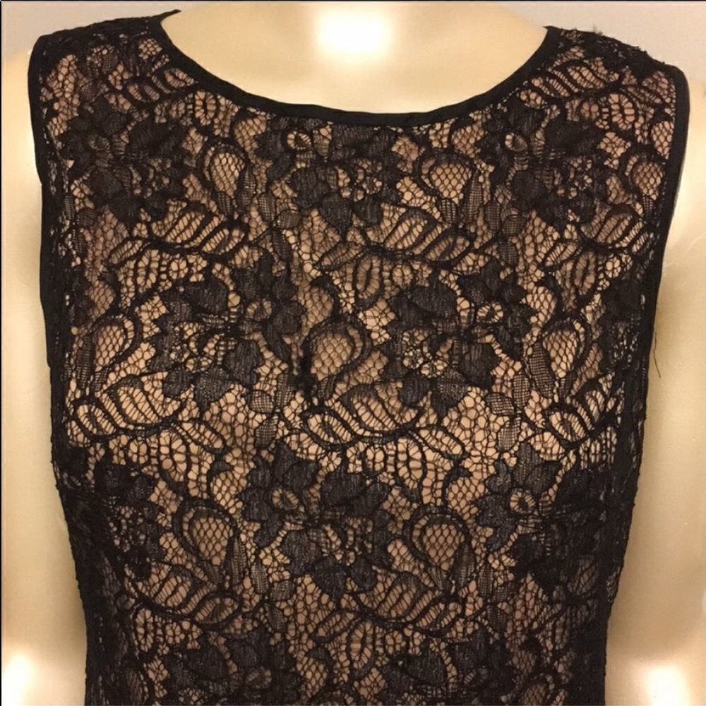 Cache lace dress - Picture 4 of 11